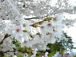 DSCN2100.JPG