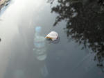 DSCN2105.JPG