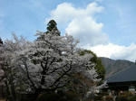 DSCN2119.JPG