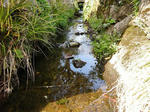 DSCN2148.JPG