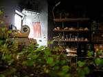 DSCN2643.JPG