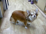 DSCN2708.JPG