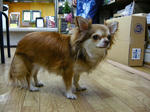 DSCN2709.JPG