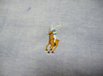 DSCN3523.JPG