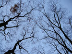 DSCN4079.JPG