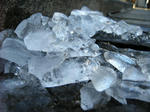 DSCN4095.JPG