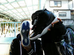 DSCN4121.JPG