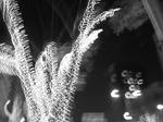 DSCN4142.JPG