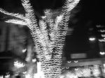 DSCN4144.JPG