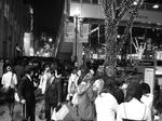 DSCN4146.JPG