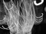 DSCN4152.JPG