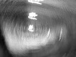 DSCN4156.JPG