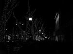 DSCN4158.JPG