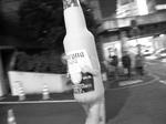 DSCN4179.JPG