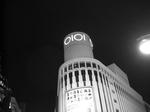 DSCN4184.JPG