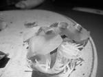 DSCN4224.JPG