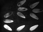 DSCN4227.JPG