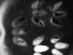 DSCN4228.JPG