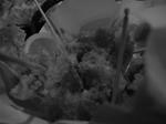 DSCN4253.JPG
