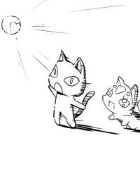 20111105_neko.jpg