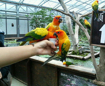 200711101355000.jpg