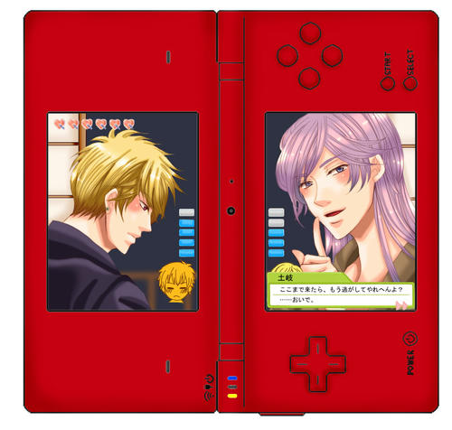 jinnanDS2.jpg