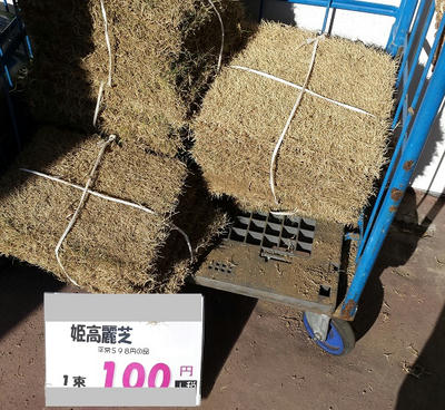 太陽光|さんぺい@一条工務店i-smart平屋の家 太陽光|さんぺい@一条工務店i-smart平屋の家