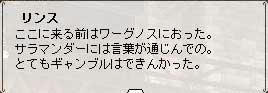 20080205no1.jpg