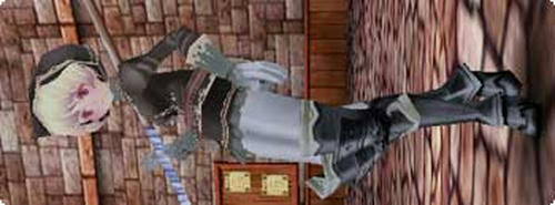 20081119_no1.jpg