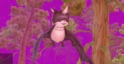 20090208_no1.jpg