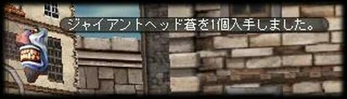 20070224no1.jpg