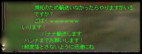 20070307no4.jpg