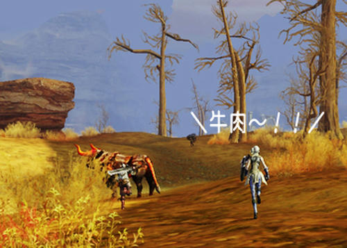 20090617_no2.jpg