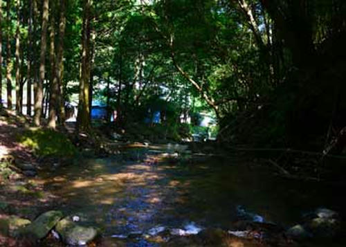 20100810_no3.jpg