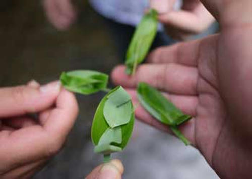 20100810_no6.jpg