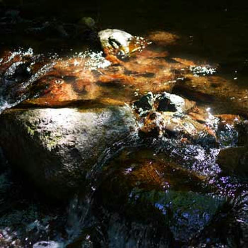 20100810_no7.jpg
