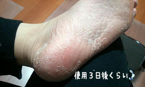 20110630_no1.jpg