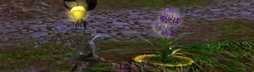20110708_no3.jpg