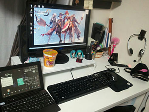 20120225_no1.jpg