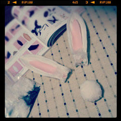 20120815no2.jpg