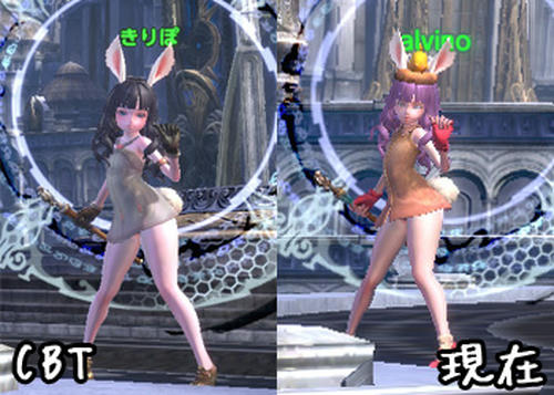 20130202no1.jpg