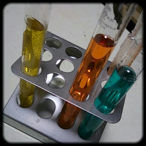 20130227no1.jpg