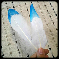 20130620no2.jpg