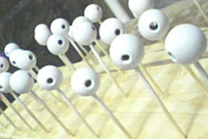 0225011.jpg