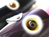 0428001.jpg