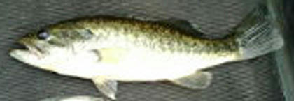 0505001.jpg