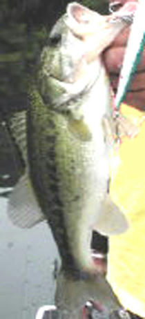 0505031.jpg