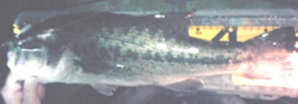 0507010.jpg