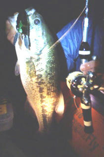 0507011.jpg