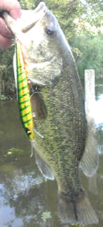 0525004.jpg
